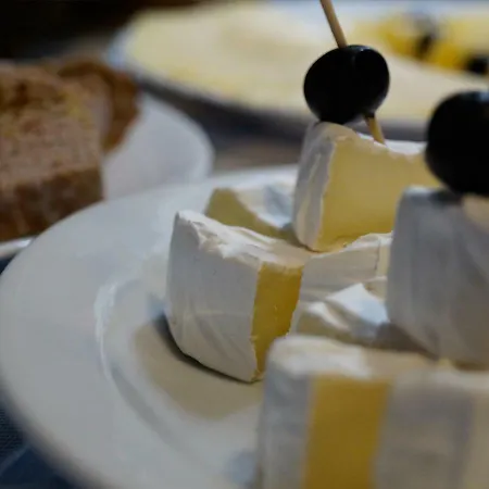 Проживание в семье Nest